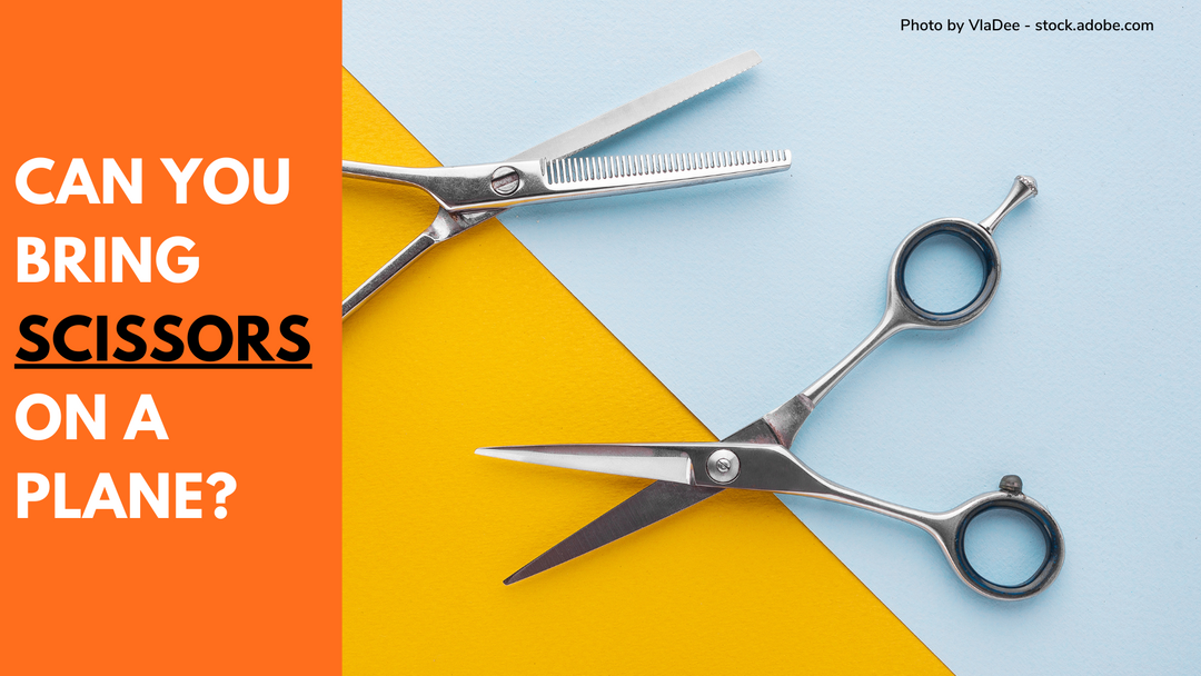 Can You Bring Scissors On A Plane? Check Out The Guidelines And Stay Safe